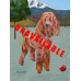 Red Standard Poodle